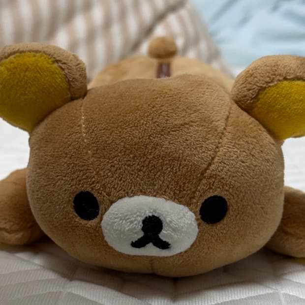 리락쿠마 필통