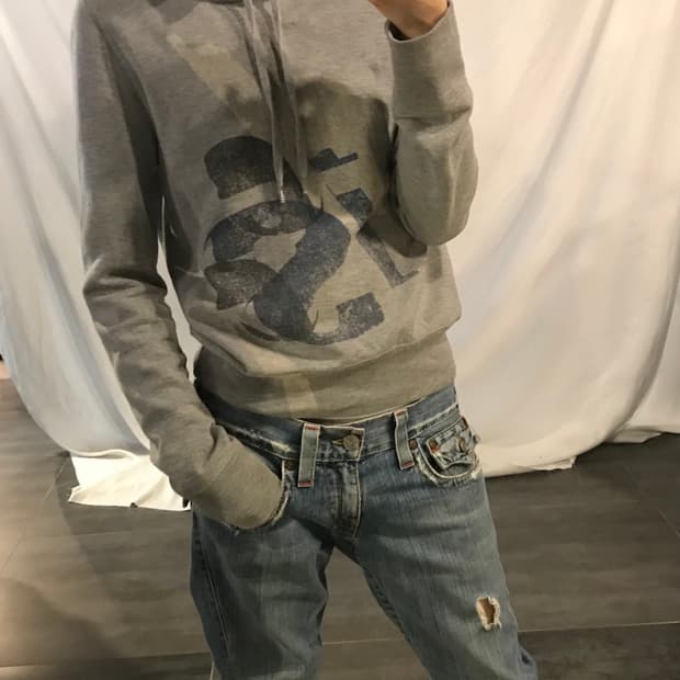 Diesel Grey Hoodie