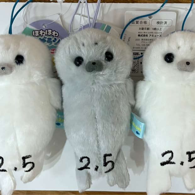 물개 물범 키링 인형