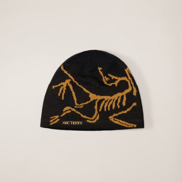 아크테릭스 비니