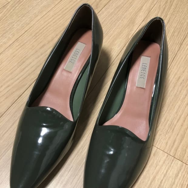 르베이지 펌프스