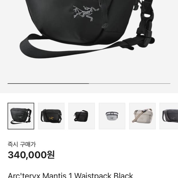 아크테릭스 맨티스 1웨이스트팩 블랙