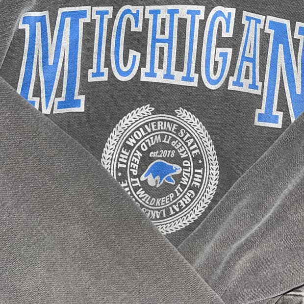 트래블 미시칸 후드티