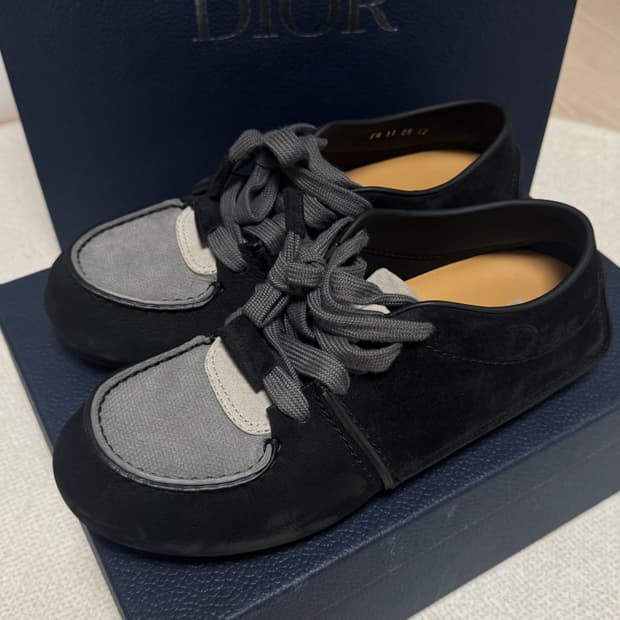 디올 로디 더비 42