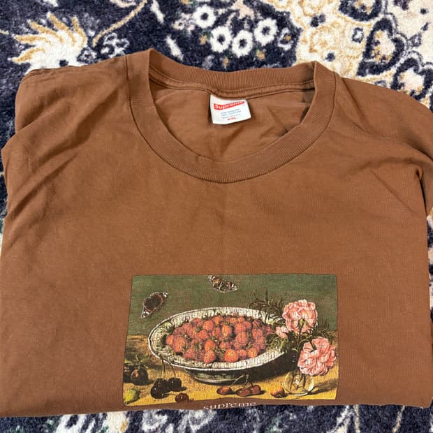 슈프림 23ss 스트로베리 티셔츠 XXL 브라운