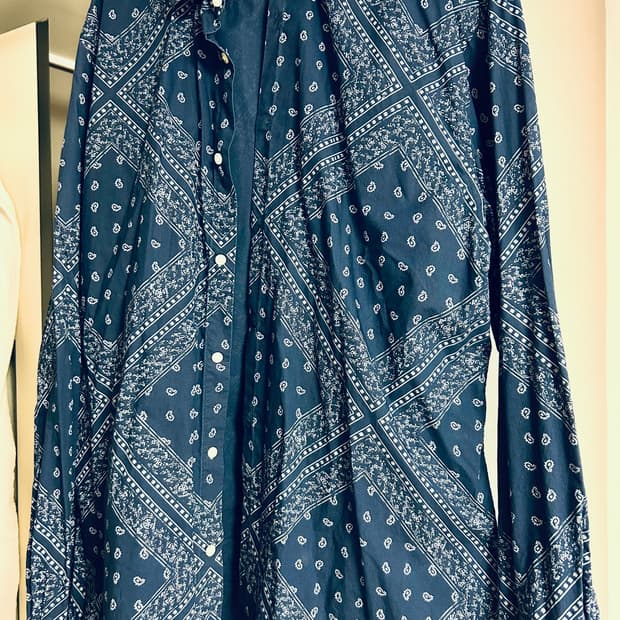 XL) 자라 페이즐리 버튼업 셔츠