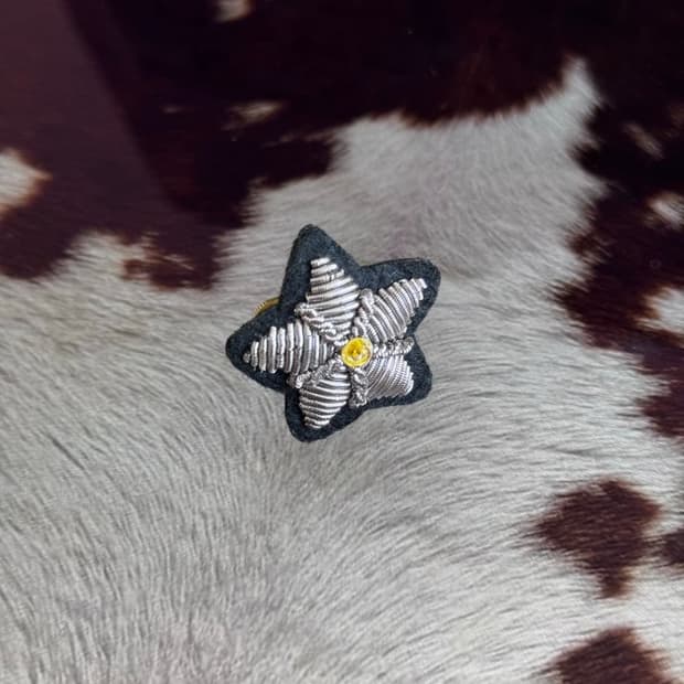 last one/ star pin