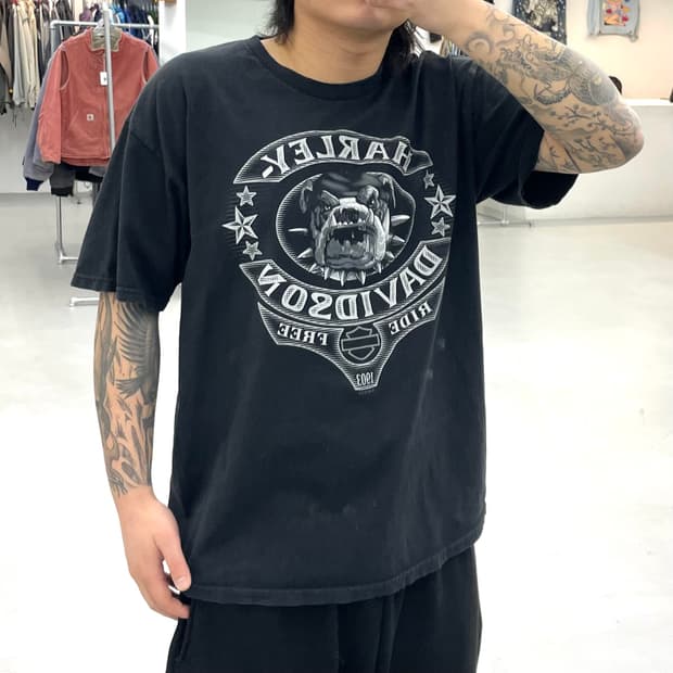할리데이비슨 불독 도마뱀 그래픽 페이딩 빈티지 반팔 티셔츠