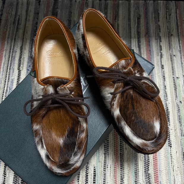 파라부트 미카엘 송치 40