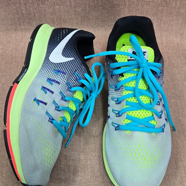 나이키 255mm-  에어 줌 페가수스 33