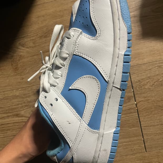 나이키 덩크 유니버시티 