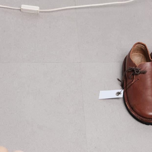 forest shoemaker(230)
