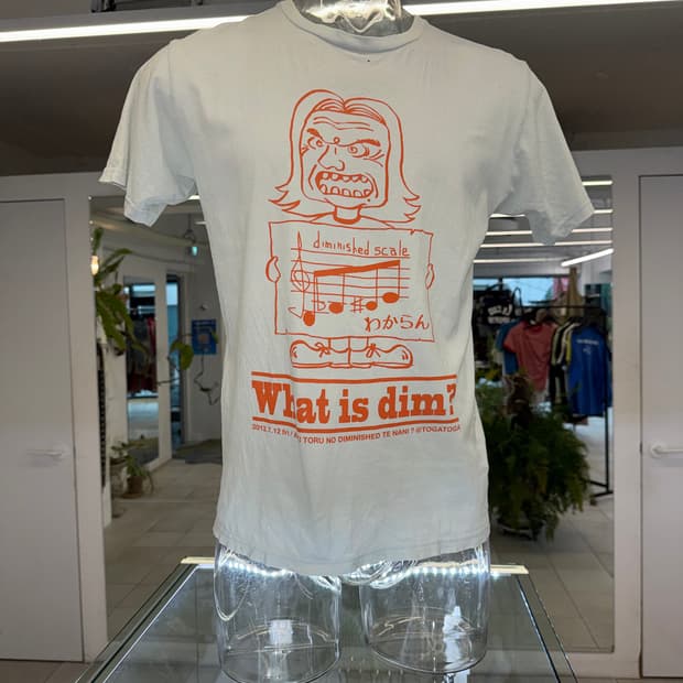what is dim?