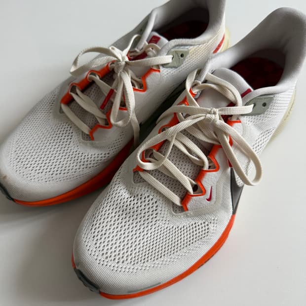 나이키 페가수스 41 러닝화 270