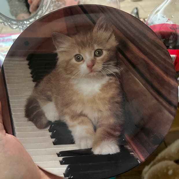 빈티지 장식 엔틱 피아노 고양이