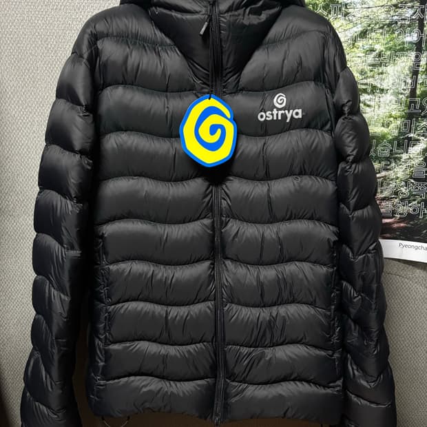오스트리야 Aether Down Jacket Black