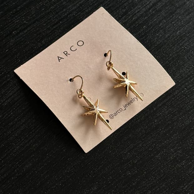 Arco Star Earring 