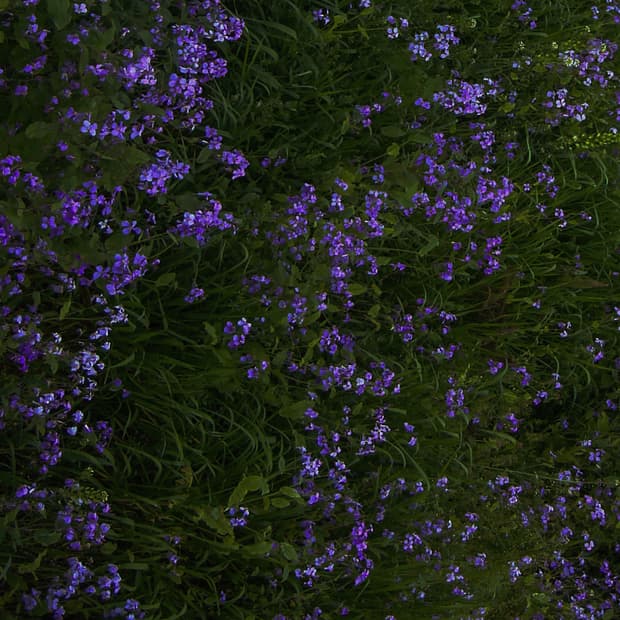 [희귀&상태좋음]Sony Cybershot N2