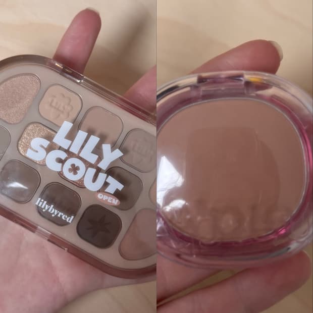 팔레트 블러셔 일괄