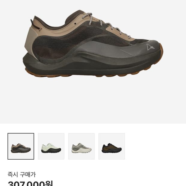 로아 하이킹 셀라 브라운 40