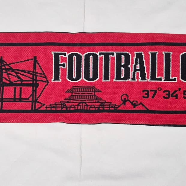 FC 서울 머플러 팝니다 