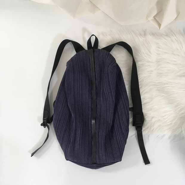 이세이미야케 플리츠플리즈 백팩