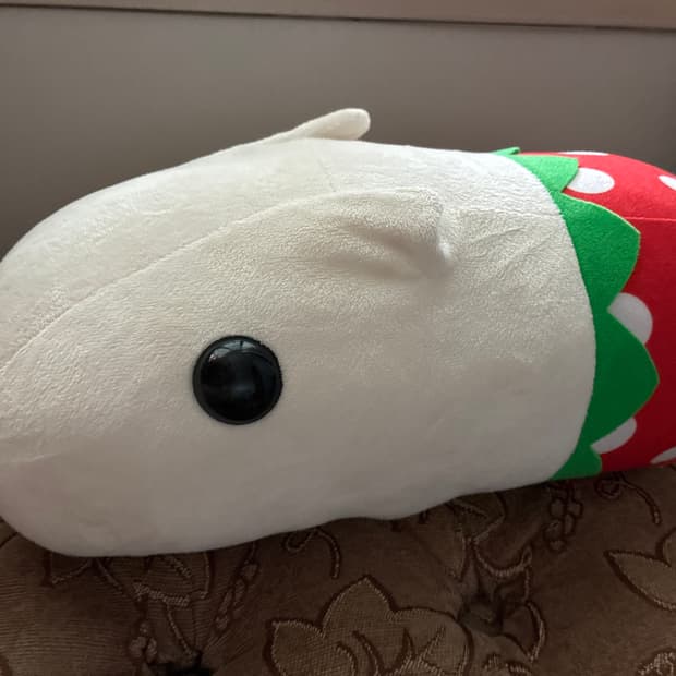 딸기 빤쮸 카피바라상 화이트상 중형 인형 