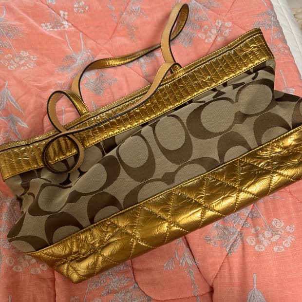 코치 시그니처 토트백