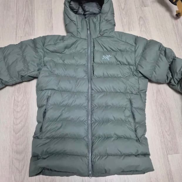 아크테릭스 토륨 후디 포리지