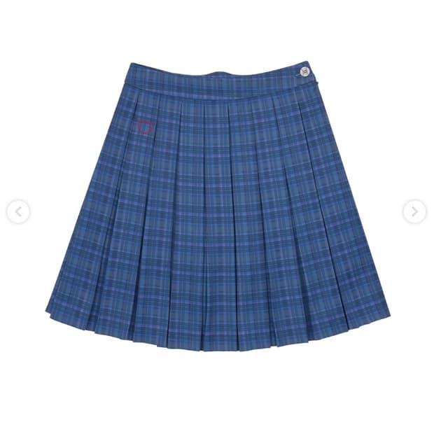 (S/M) 코이세이오 x 삼성 라이온즈 체크 플리츠 스커트