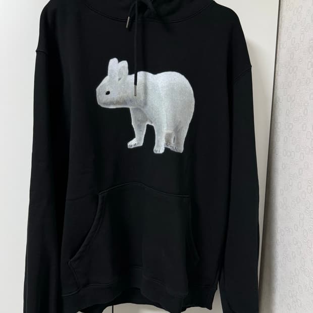 더콜디스트모먼트 polar rabbit 후드티