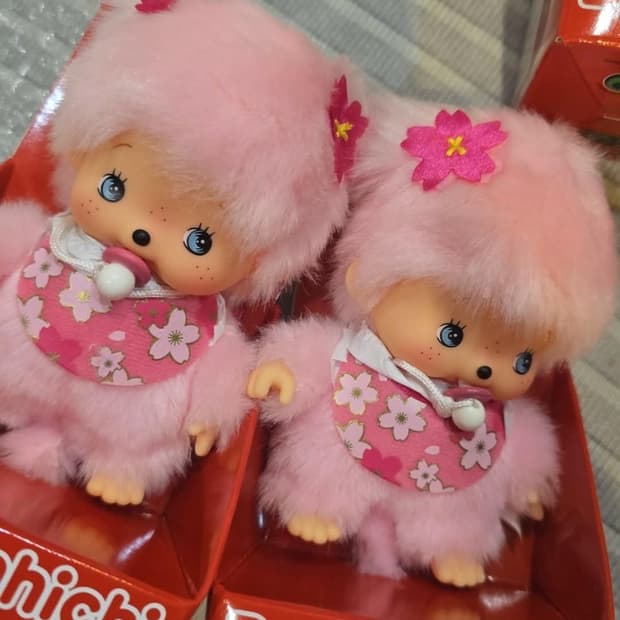 사쿠라 베비치치