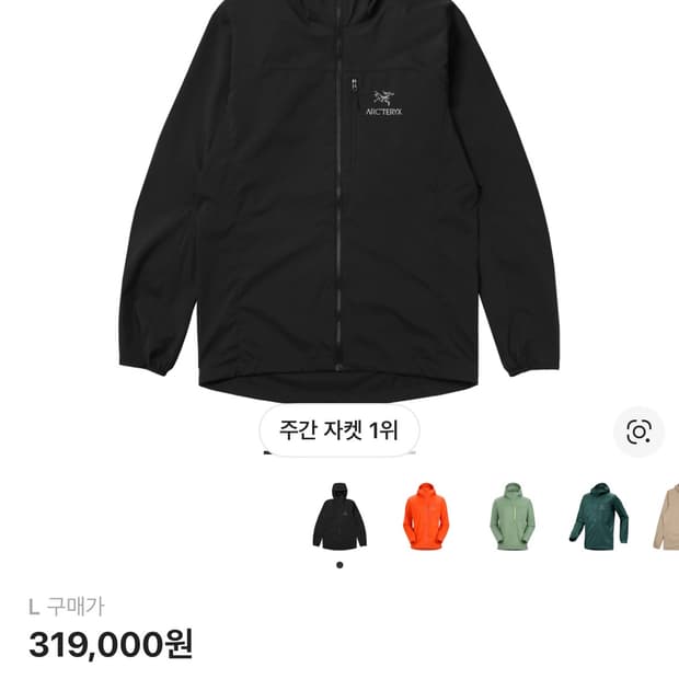 아크테릭스 스쿼미시 후디 블랙 L