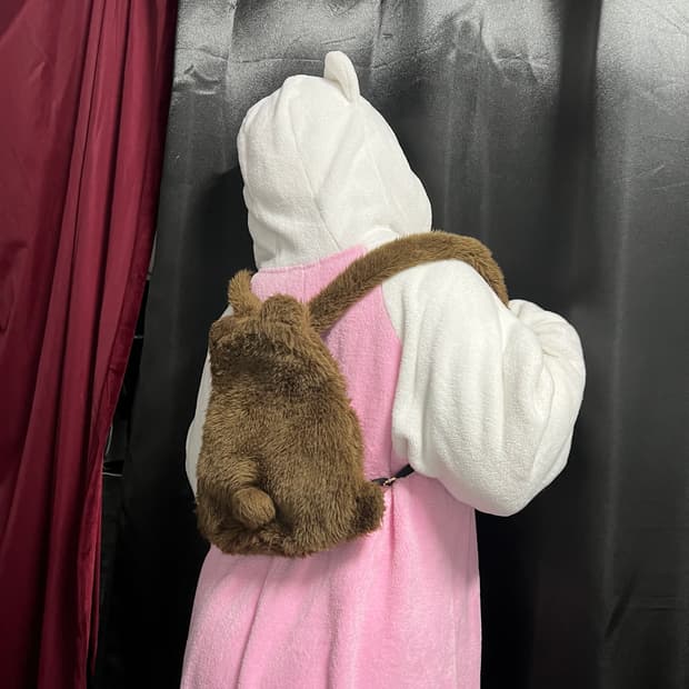 Teddy bear bag 