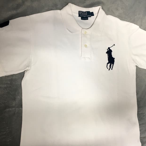 폴로 랄프로렌 빅포니