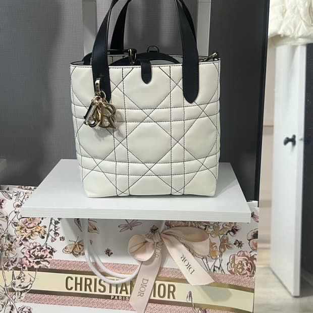 디올 뚜주흐 버티컬 스몰