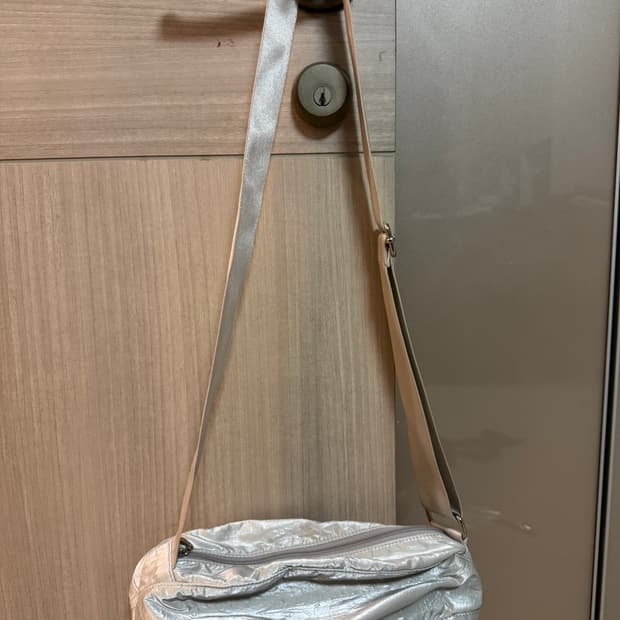 글로시 펌킨 백 실버