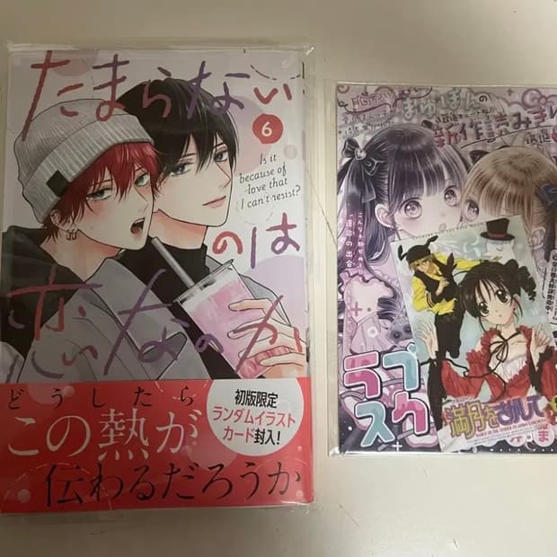 오늘내 판매)BL 일본어판)참을 수 없는 건 사랑인 걸까 6권