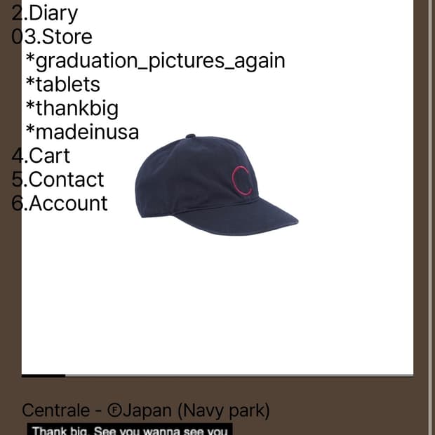 테프스토어즈 Centrale - Japan(Navy park) L사이즈