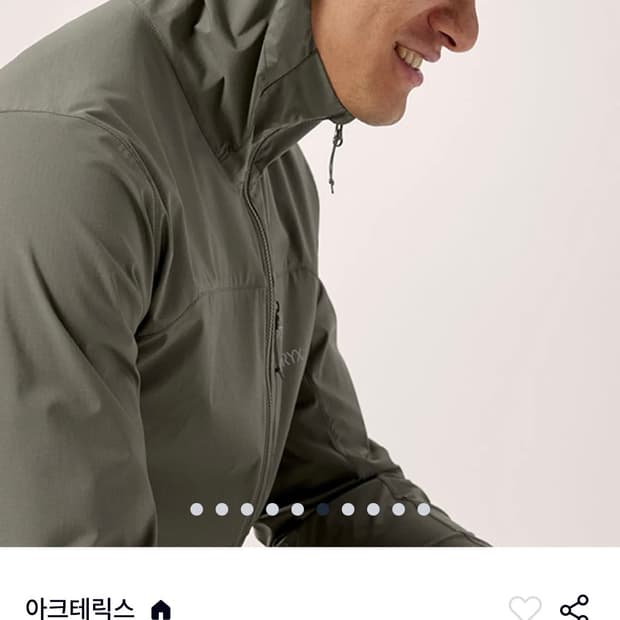 아크테릭스 스쿼미시 후디 포리지