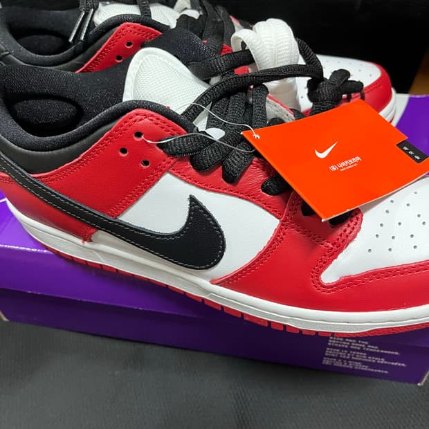 나이키 시카고 덩크 265