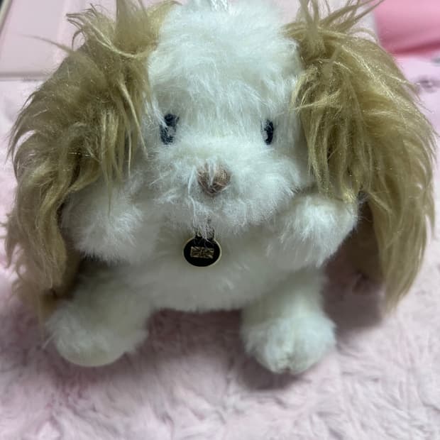 글로니x락피쉬에더웨어 인형키링 한정판