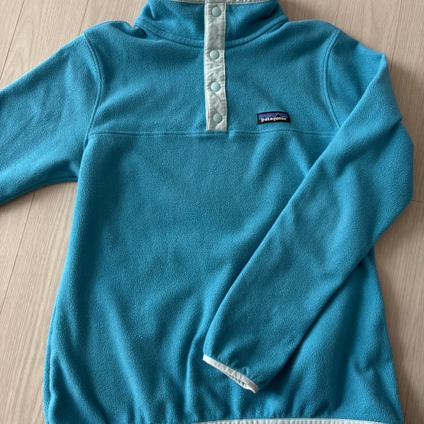 파타고니아 플리스