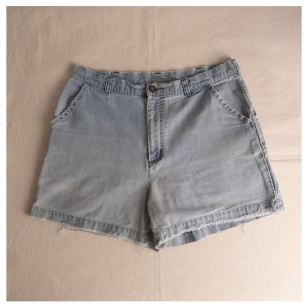 90s Patagonia Stand-up Shorts (Faded Blu
