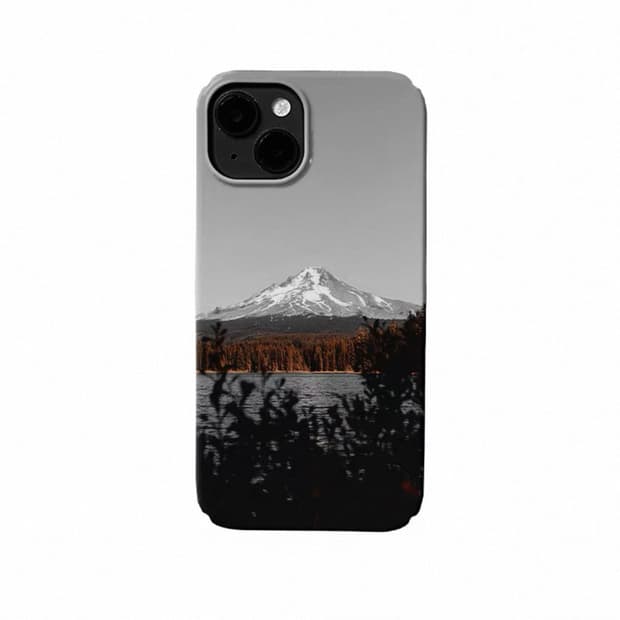 Phone case