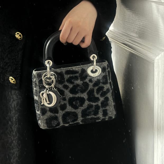 디올 레이디백 미니