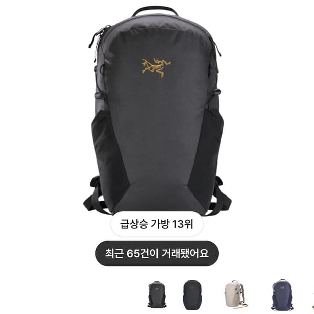 아크테릭스 맨티스16 블랙