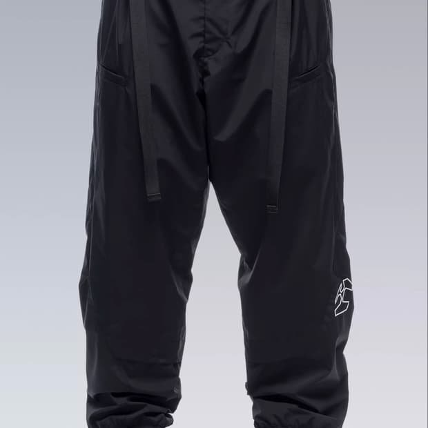 ACRONYM P53-WS