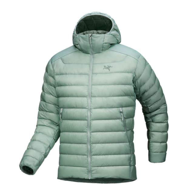 아크테릭스 세륨 후디 스톤그린 M