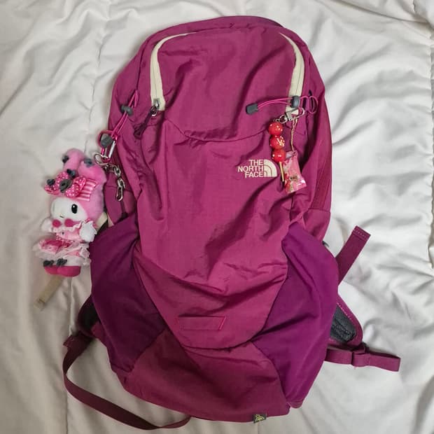 노스페이스 핑크 백팩 20l